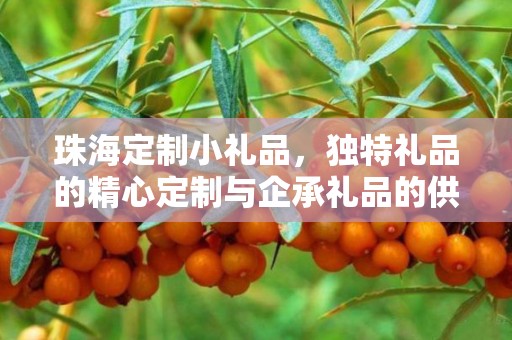 珠海定制小礼品，独特礼品的精心定制与企承礼品的供应链优势