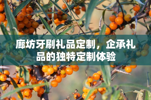 廊坊牙刷礼品定制，企承礼品的独特定制体验