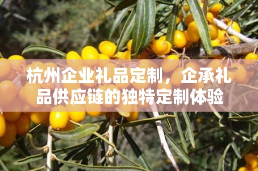 杭州企业礼品定制，企承礼品供应链的独特定制体验