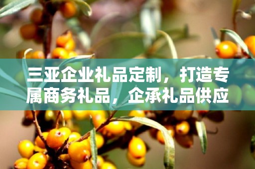 三亚企业礼品定制，打造专属商务礼品，企承礼品供应链助力企业品牌建设