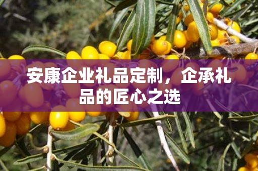 安康企业礼品定制，企承礼品的匠心之选