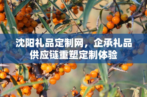 沈阳礼品定制网，企承礼品供应链重塑定制体验