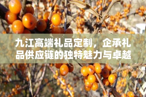 九江高端礼品定制，企承礼品供应链的独特魅力与卓越服务