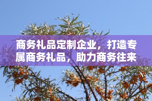 商务礼品定制企业，打造专属商务礼品，助力商务往来