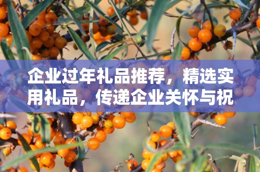 企业过年礼品推荐，精选实用礼品，传递企业关怀与祝福