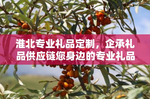 淮北专业礼品定制，企承礼品供应链您身边的专业礼品定制公司