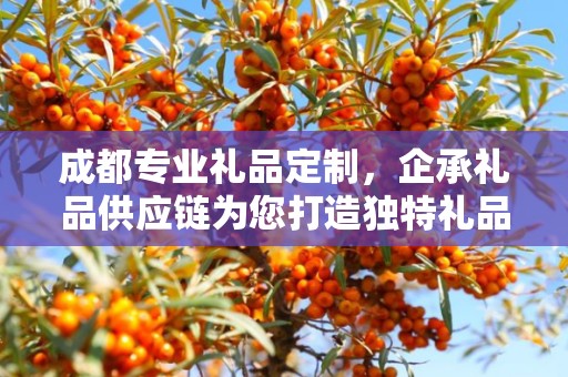 成都专业礼品定制，企承礼品供应链为您打造独特礼品体验