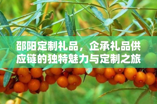 邵阳定制礼品，企承礼品供应链的独特魅力与定制之旅
