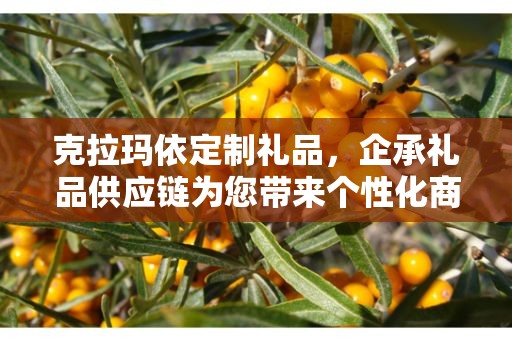 克拉玛依定制礼品，企承礼品供应链为您带来个性化商务礼品方案