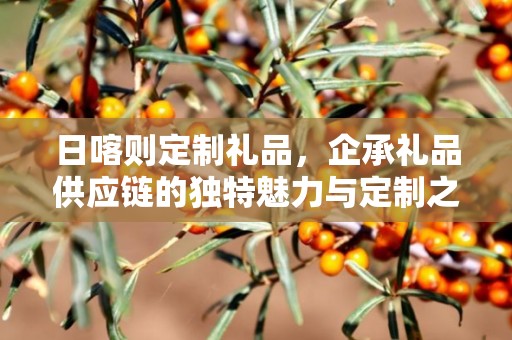日喀则定制礼品，企承礼品供应链的独特魅力与定制之旅