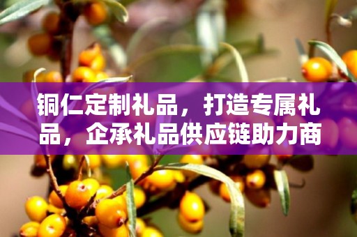 铜仁定制礼品，打造专属礼品，企承礼品供应链助力商务推广