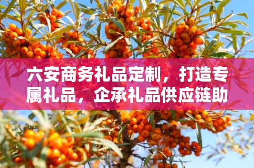六安商务礼品定制，打造专属礼品，企承礼品供应链助力商务往来