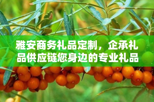 雅安商务礼品定制，企承礼品供应链您身边的专业礼品定制公司
