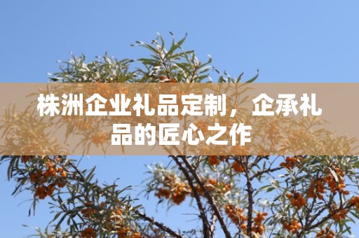 株洲企业礼品定制，企承礼品的匠心之作