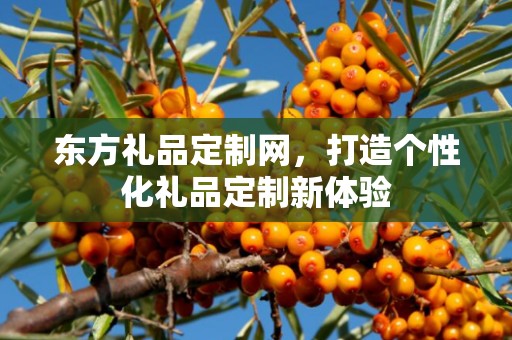 东方礼品定制网，打造个性化礼品定制新体验