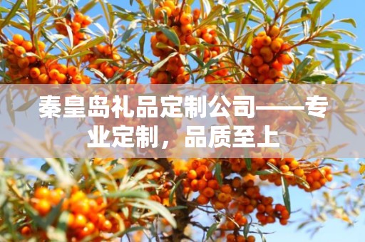 秦皇岛礼品定制公司——专业定制，品质至上
