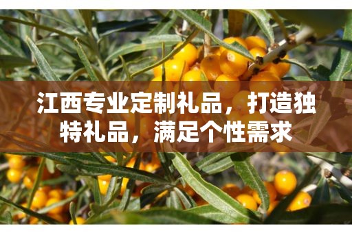 江西专业定制礼品，打造独特礼品，满足个性需求