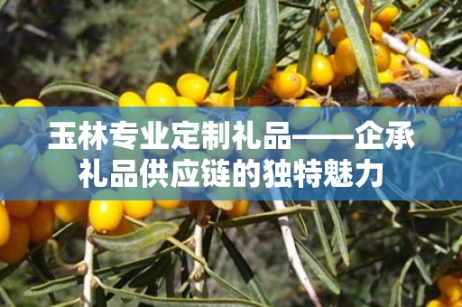 玉林专业定制礼品——企承礼品供应链的独特魅力