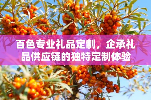 百色专业礼品定制，企承礼品供应链的独特定制体验
