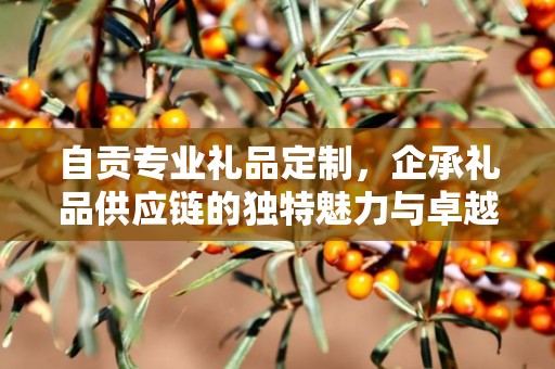 自贡专业礼品定制，企承礼品供应链的独特魅力与卓越服务