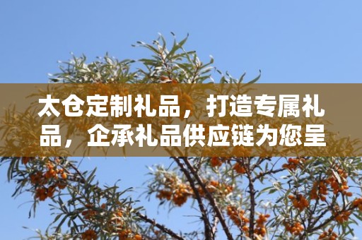 太仓定制礼品，打造专属礼品，企承礼品供应链为您呈现