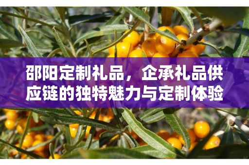 邵阳定制礼品，企承礼品供应链的独特魅力与定制体验