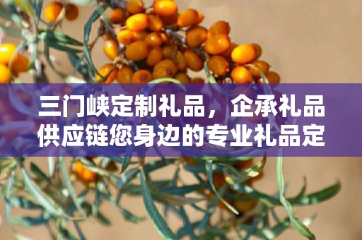 三门峡定制礼品，企承礼品供应链您身边的专业礼品定制公司