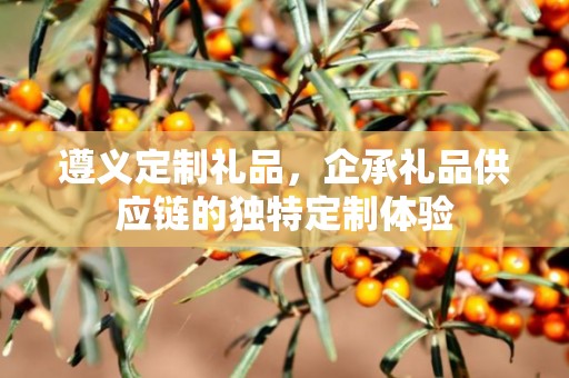 遵义定制礼品，企承礼品供应链的独特定制体验
