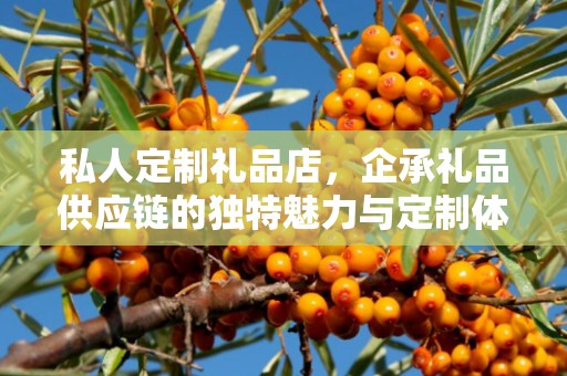 私人定制礼品店，企承礼品供应链的独特魅力与定制体验