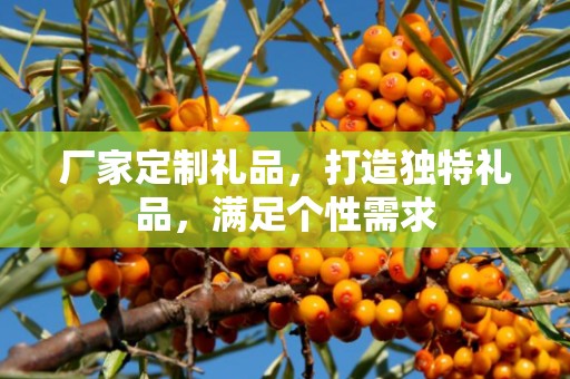 厂家定制礼品，打造独特礼品，满足个性需求
