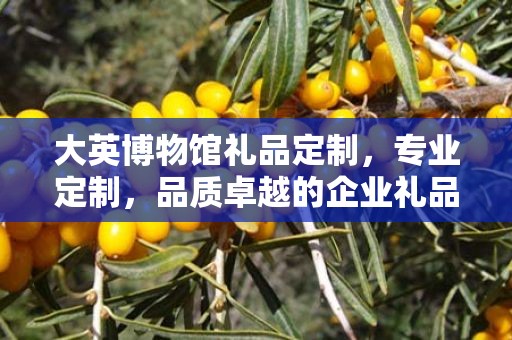 大英博物馆礼品定制，专业定制，品质卓越的企业礼品之选