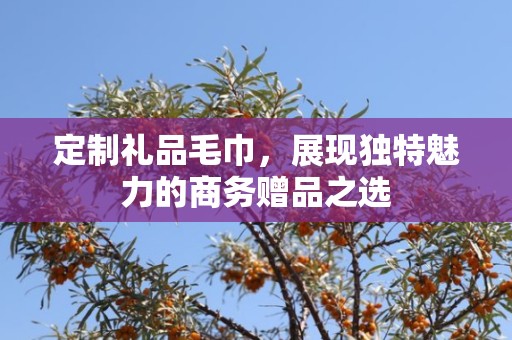 定制礼品毛巾，展现独特魅力的商务赠品之选