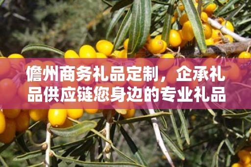 儋州商务礼品定制，企承礼品供应链您身边的专业礼品定制公司