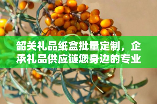 南通文体创意礼品定制，企承礼品的独特定制之旅